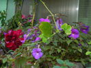 DSCN7525