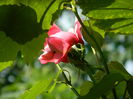 DSCN7563