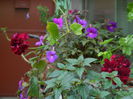 DSCN7569