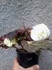 20140714_140938
