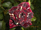 DSCN9824