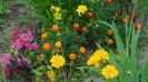DSC03316