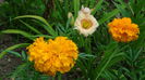 DSC03338