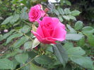 20140712_175339