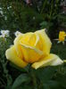 20140712_175710