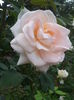 20140712_175817
