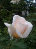 20140712_175833