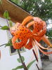 IMG_20140714_182038