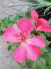 IMG_20140714_181935