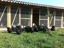 IMG_20140716_082316