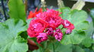 DSC01201