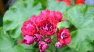 DSC01202