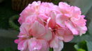 DSC01207