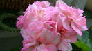 DSC01208