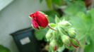 DSC01209