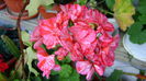 DSC01228