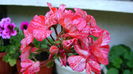 DSC01285