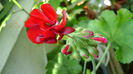 DSC01288