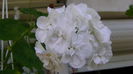 DSC01312