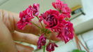 DSC01318