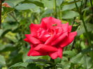 DSCN7712