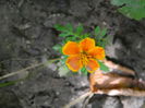 DSCN7715