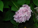 DSCN7730