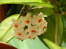 DSCN7739