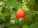 DSCN7744