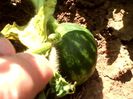 IMG_20140716_132731