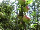IMG_20140716_132634