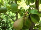 IMG_20140716_132617