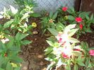 IMG_20140716_132459