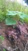 WP_20140713_007