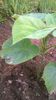 WP_20140713_014
