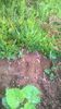 WP_20140713_015