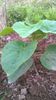 WP_20140713_019