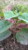 WP_20140713_020