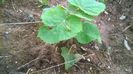 WP_20140713_001