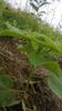 WP_20140713_002
