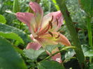 P7130055