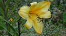 DSC03171