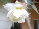 DSCN4251_004