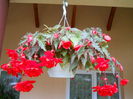 DSCN4255_008