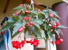 DSCN4256_009