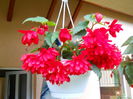 DSCN4258_011