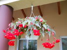 DSCN4260_013