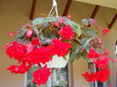 DSCN4292_045