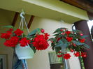 DSCN4295_048