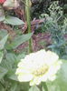 IMG_20140717_083816